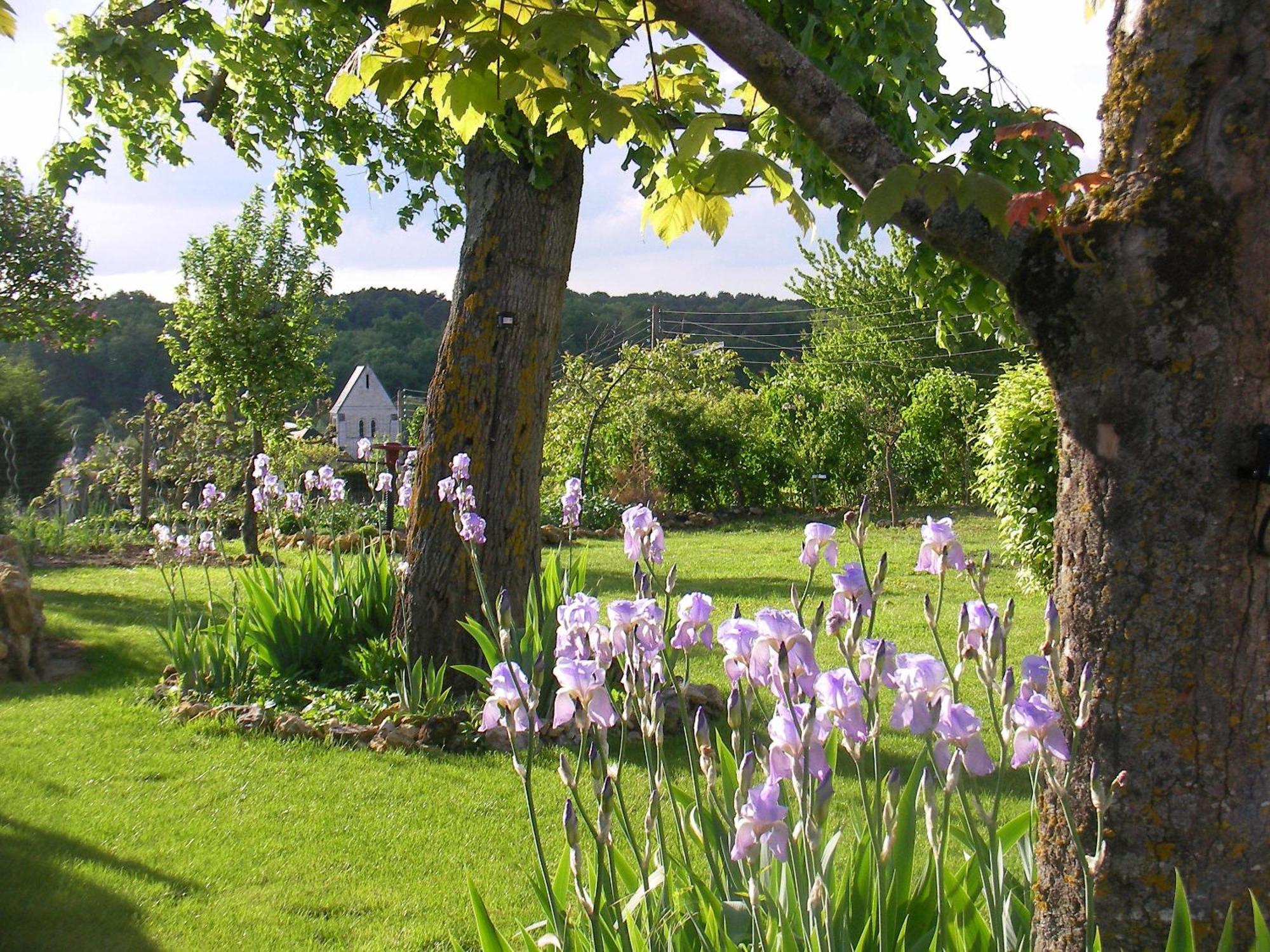 Chambres D'Hotes La Vallee Des Vignes Monthou-sur-Cher Eksteriør billede