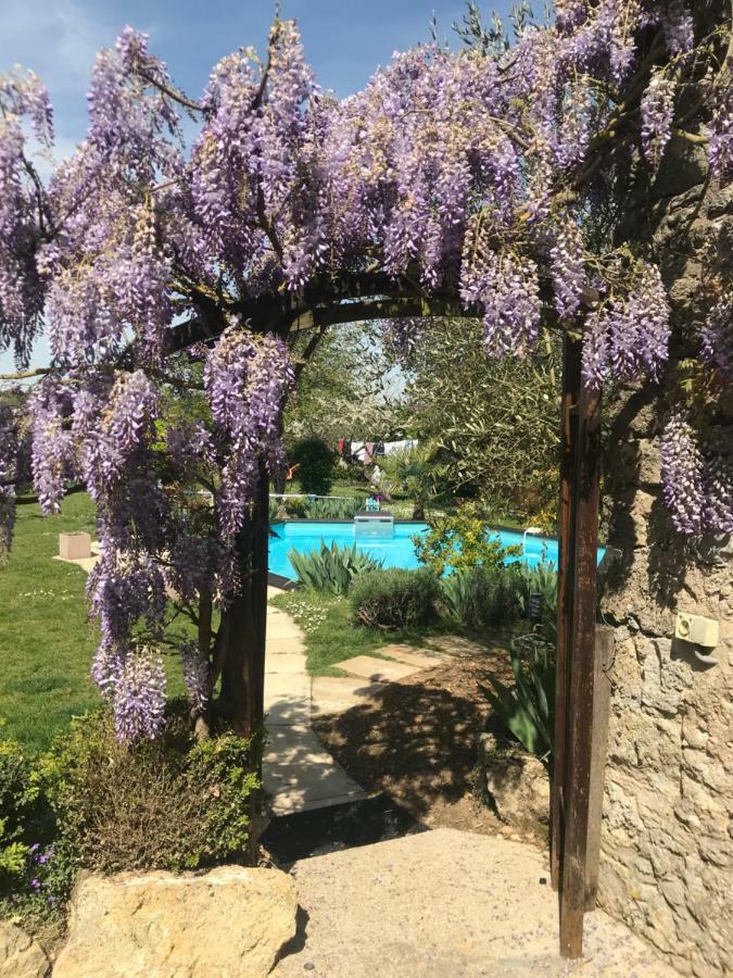Chambres D'Hotes La Vallee Des Vignes Monthou-sur-Cher Eksteriør billede